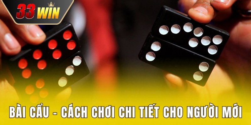 Bài Cẩu - Tổng Hợp Cách Chơi Chi Tiết Cho Người Mới