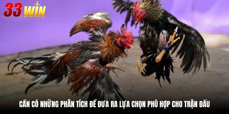 Cần có những phân tích để đưa ra lựa chọn phù hợp cho trận đấu