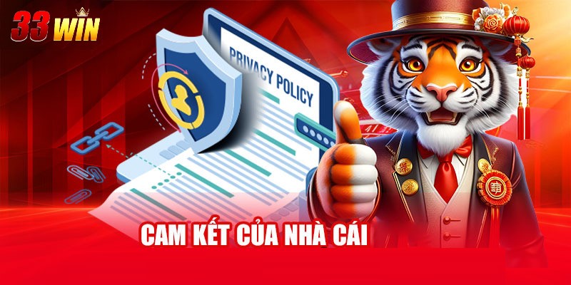 Giới thiệu 33win 3 Giới thiệu 33WIN về cam kết dành cho khách hàng