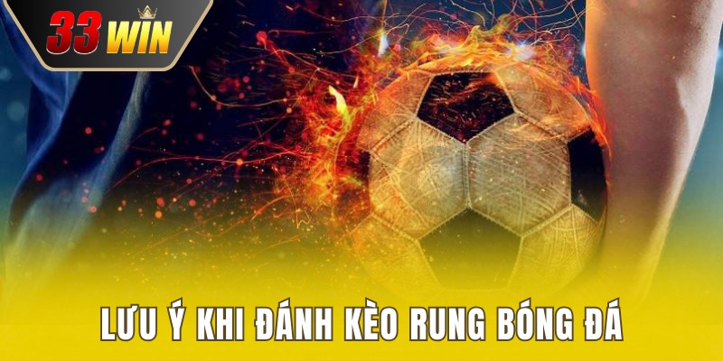 Lưu ý khi cược rung tối đa hóa lợi nhuận