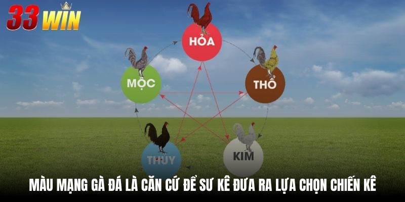 Màu mạng gà đá là căn cứ để sư kê đưa ra lựa chọn chiến kê