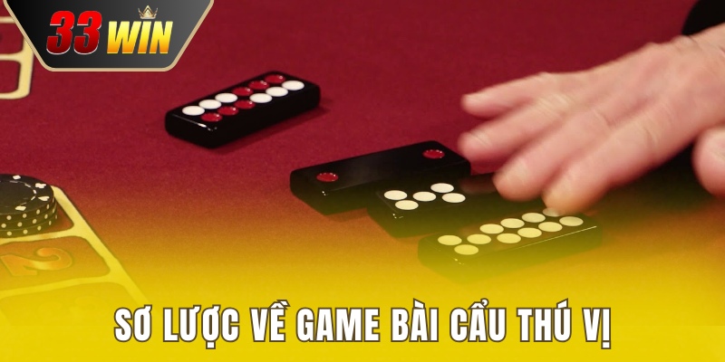 Sơ lược về trò chơi bài cẩu mới lạ