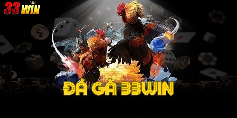 Tham gia Đá Gà 33win để tận hưởng những trận đấu kịch tính