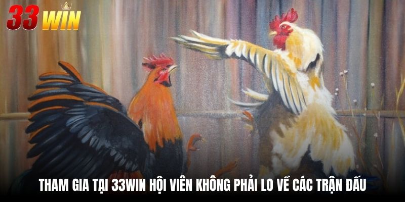 Xem Ngày Đá Gà 33Win - Thông Tin Cập Nhật 24/7 Chuẩn Xác 4 Tham gia tại 33Win hội viên không phải lo về các trận đấu