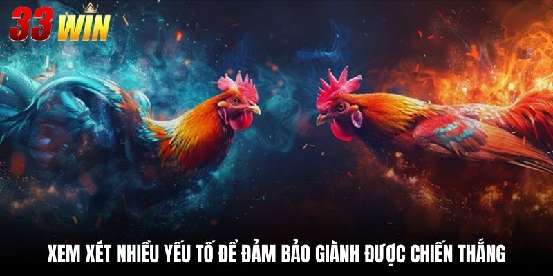 Xem xét nhiều yếu tố để đảm bảo giành được chiến thắng